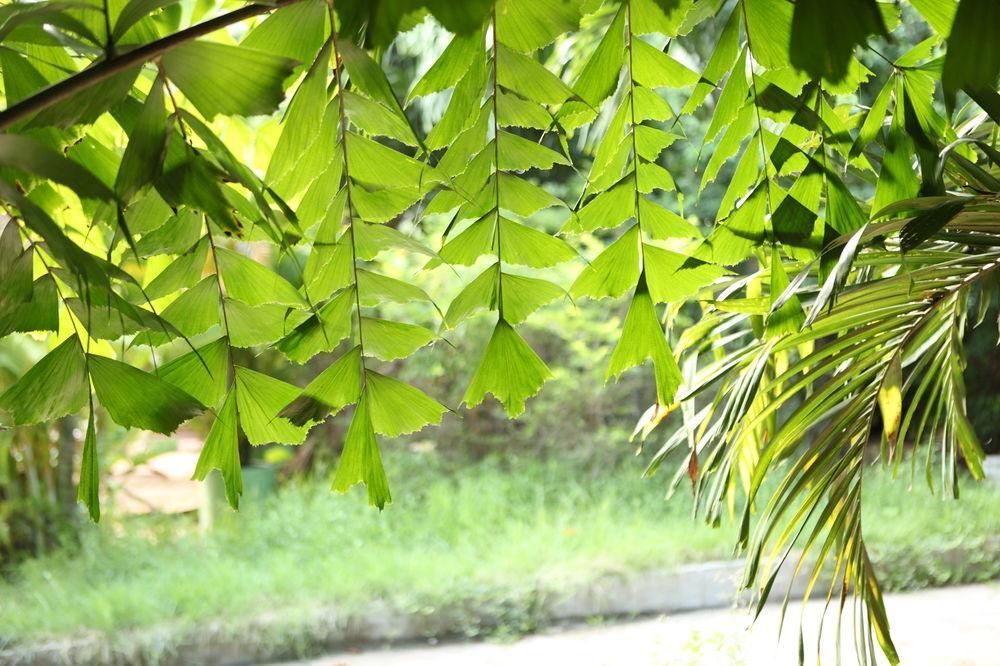 The Kabiki Hotel พนมเปญ ภายนอก รูปภาพ